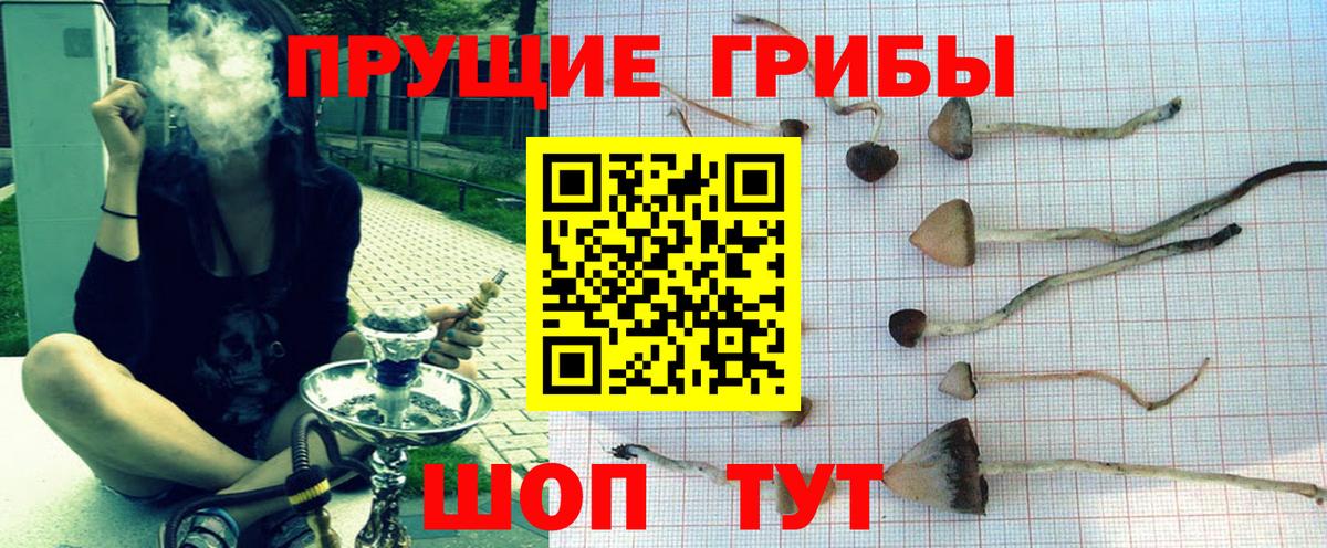 Феодосия  Псилоцибиновые грибы прущие грибы  Вход с VPN  закладка  Галлюциногенные грибы прущие грибы 