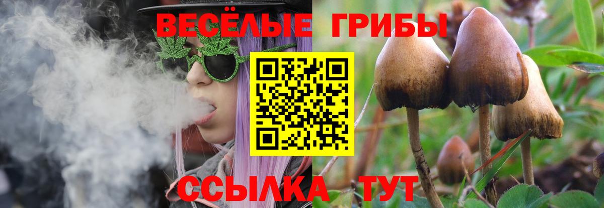 Галлюциногенные грибы Magic Shrooms Феодосия